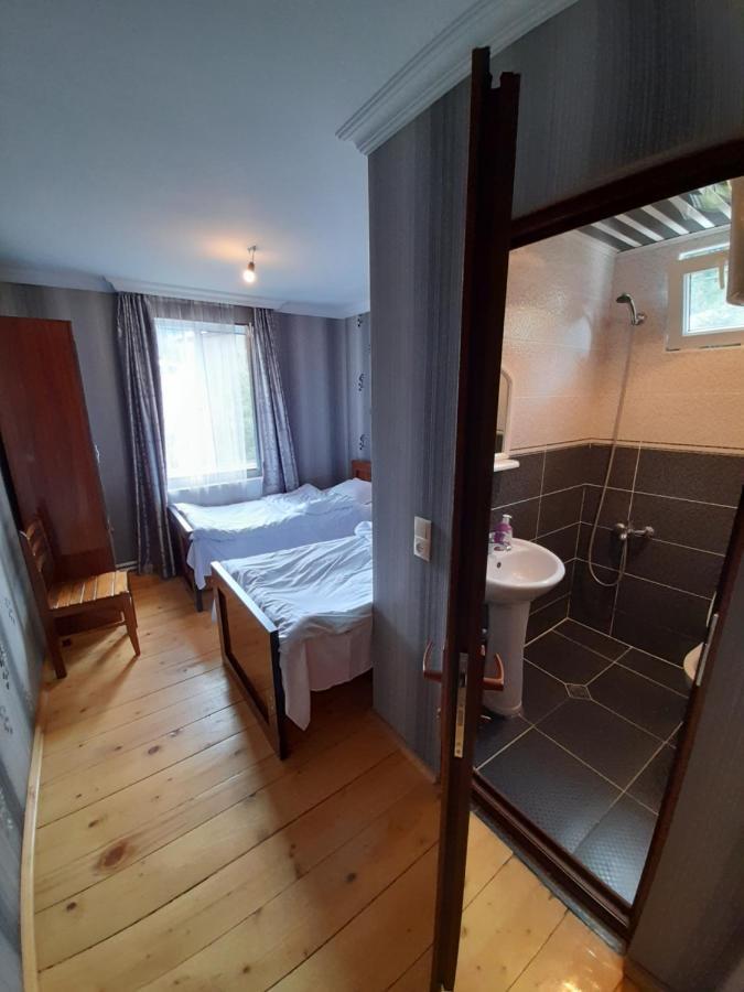 House Mon Amie Hotel Mestia Bagian luar foto